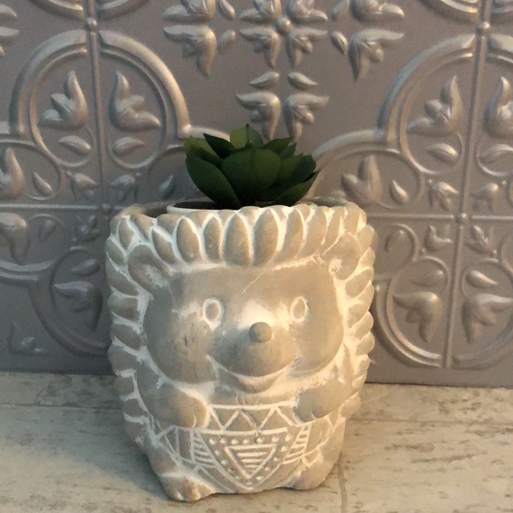 Small Natural Cement Concrete Hedgehog Planter Pot & 2 Pairs of Socks Gift Set - Picture 8 of 11